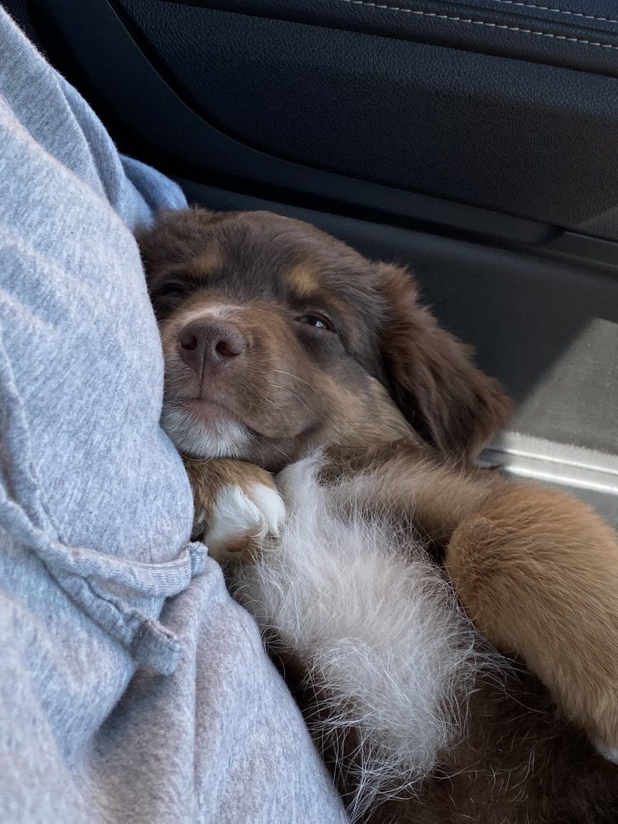 Amy Gleaton tweet media