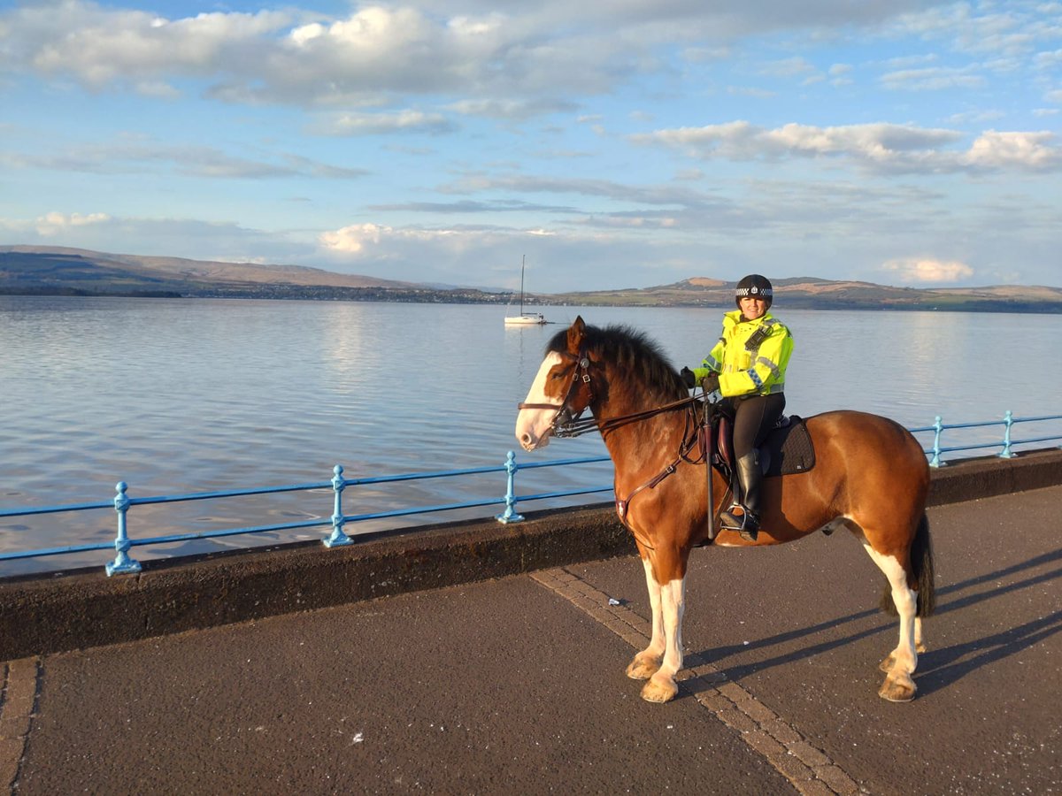 PSOSHorses's tweet photo. Police Horse Harris has been out and about assisting our colleagues #KeepingPeopleSafe at @PSOSRenfInver local policing area. If you see us in your local community please come and say hello👮🏻‍♂️👮🏻🐴 😎 https://t.co/uJdDpVHY3C
