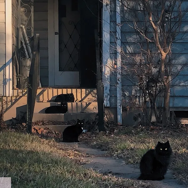 SiulOczoro989's tweet image. Merzbow: CATalysis - ★★

Notable Tracks

&amp;gt; CATalysis No. 3
&amp;gt; Hat 1046

#Merzbow #CATalysis #2023Music #NewMusic #NewRelease #Noise #ElevatorBath