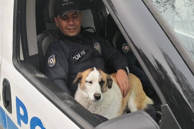 Adnankyncu tweet media