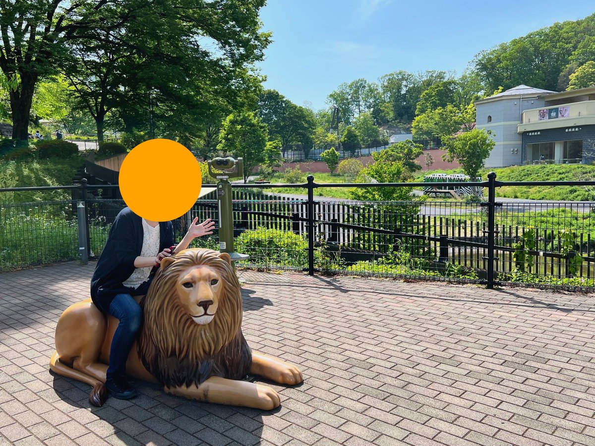 animaria1208's tweet photo. 多摩動物公園は自然がいっぱいで、とても居心地が良かったけれど、あまりの広さと暑さにアフリカ園だけで力尽きてしまい、他のエリアは泣く泣く断念🫠

家に帰って調べたら上野動物園の約4倍、東京ドーム11個分の広さだったらしい…（納得😬
#Mariaの日常 #多摩動物公園 https://t.co/ZzR8VwHBWA