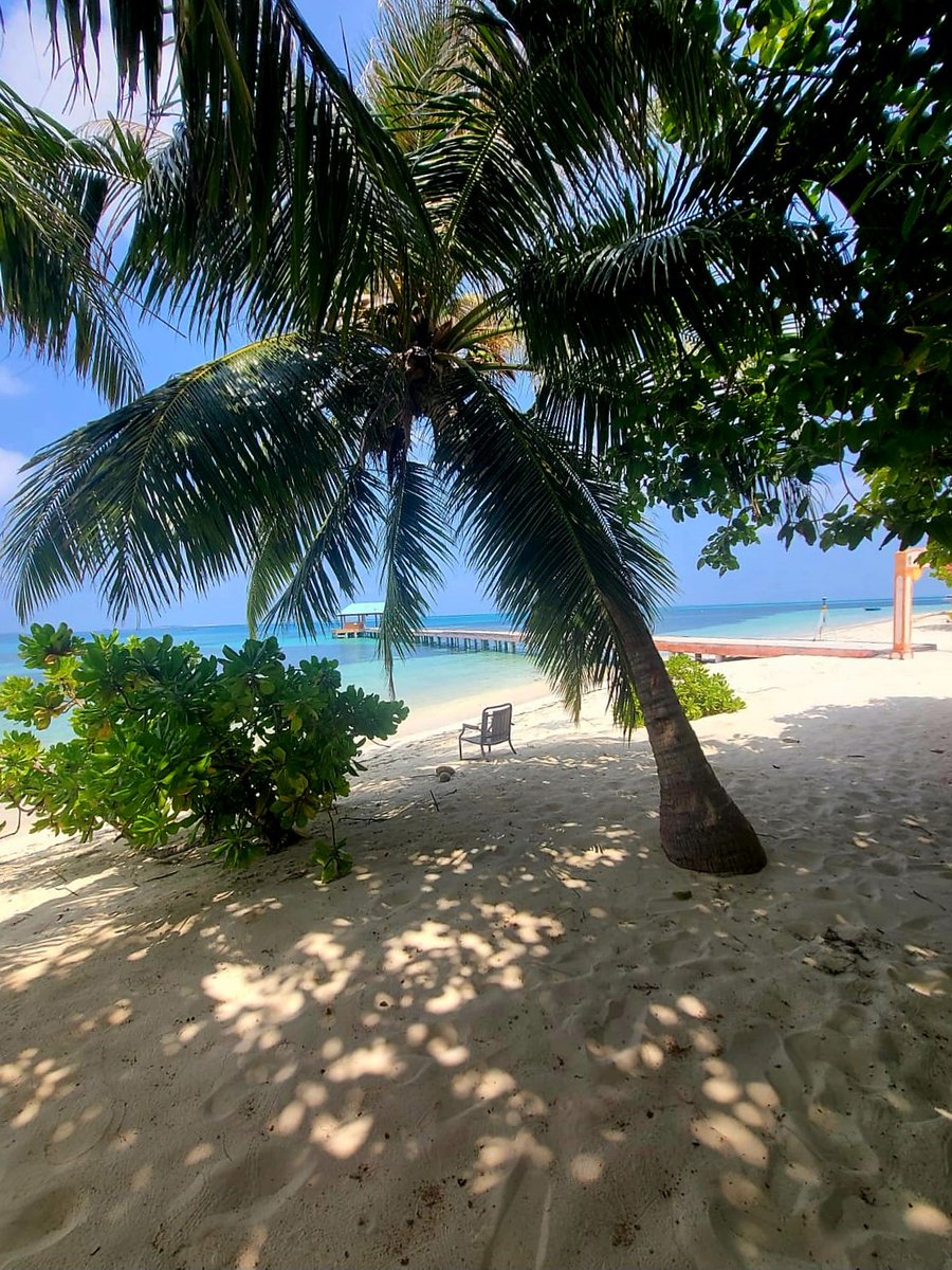 endherisunset's tweet photo. Dhangethi Island #Maldives #sunset #beach #hotel #hotel #holidayhome #travel #traveling #tourist  #photooftheday #picoftheday #fun #holiday  #путешествовать #Мальдивы #Malediven #Maldivas #Maledivy #Maldive #Malediwy #Мальдив #vacation #fun #summer #holiday #love #amazingplaces https://t.co/yk3OXlGjon