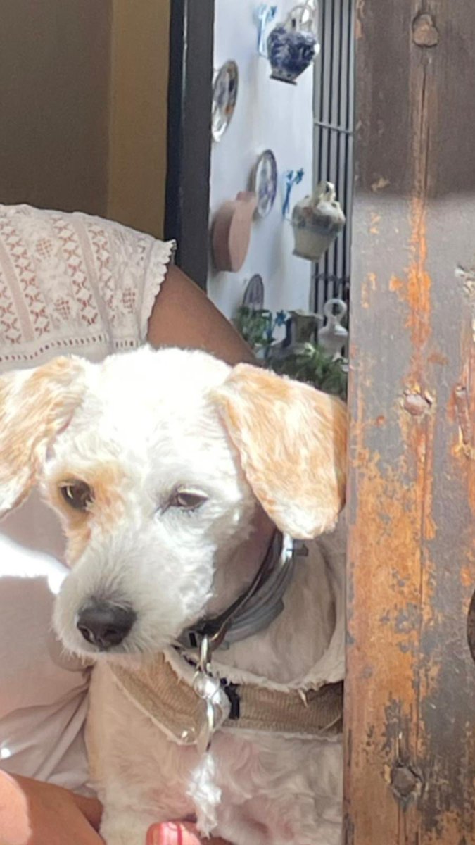 ⋆ (@yizayaez) on Twitter photo 