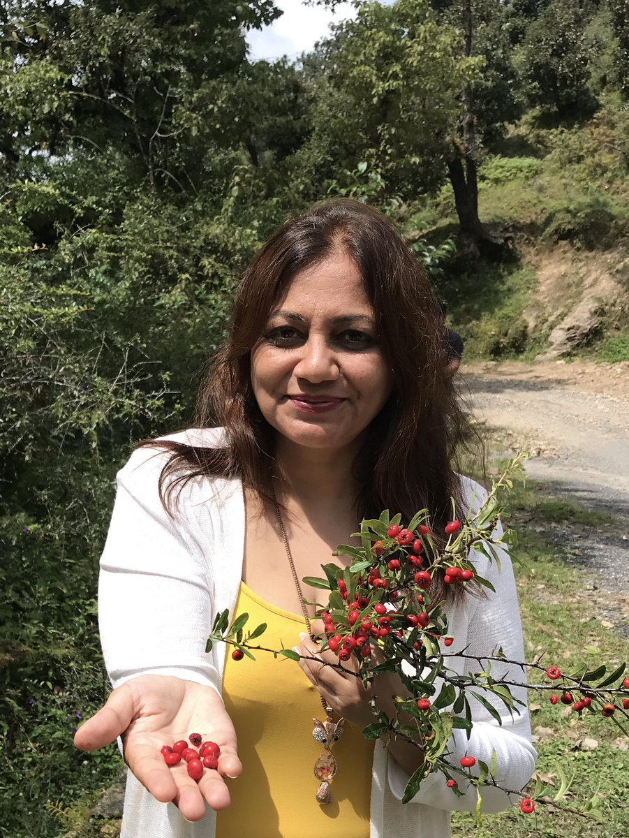 Alka Joshi Kaushik tweet media