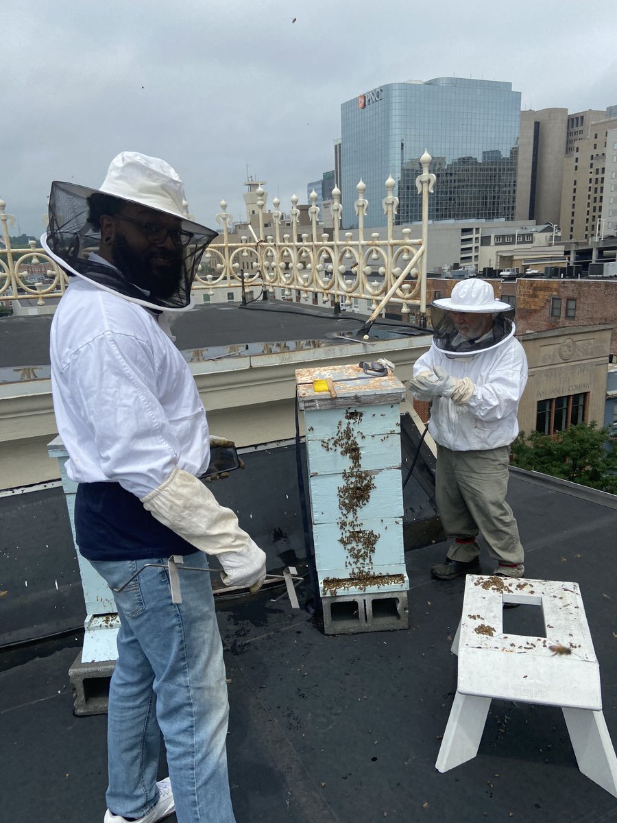 Hey y’all I’m Bruce, I’m a novice Beekeeper living in Wilmington, DE. I’m looking to get in touch with other Black Beekeepers here on Twitter. If you see or know of any, tag ‘em for me. 

(Please note this account is not dedicated to any one thing, I’m random AF 😭😭😭)