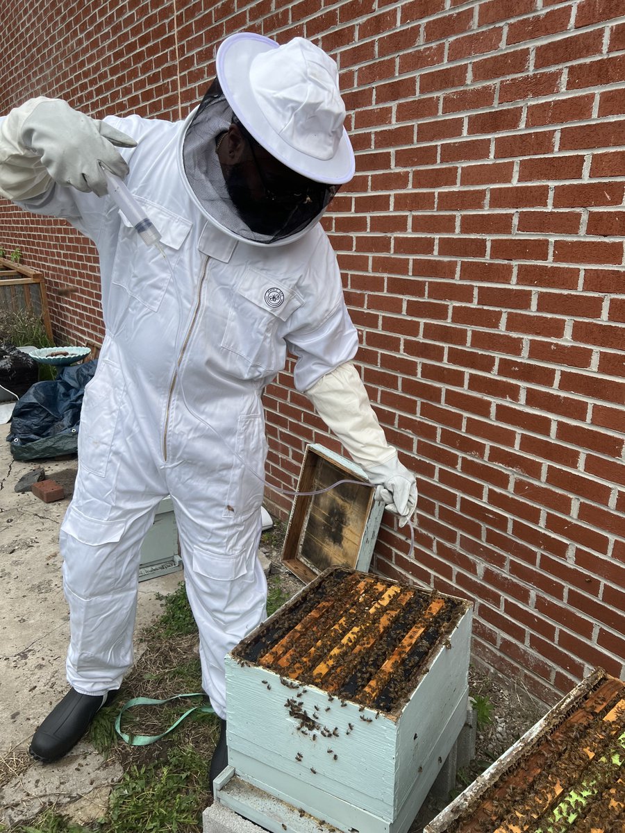 📸 9¾ △⃒⃘ Bruce Cares🪴🐝 tweet media