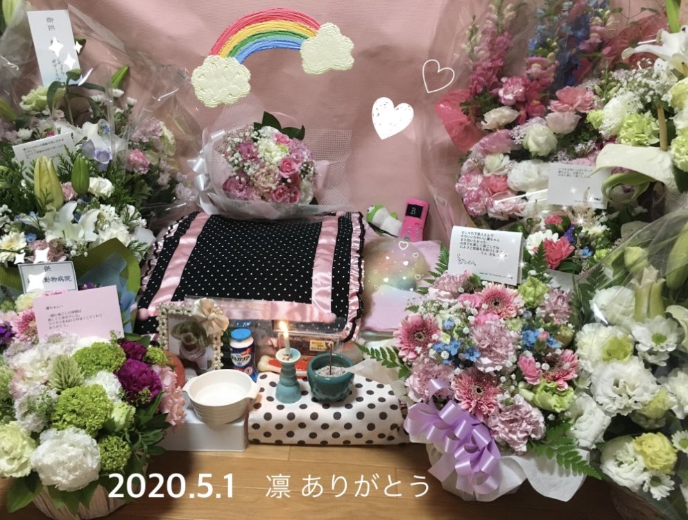 めぐりん tweet media