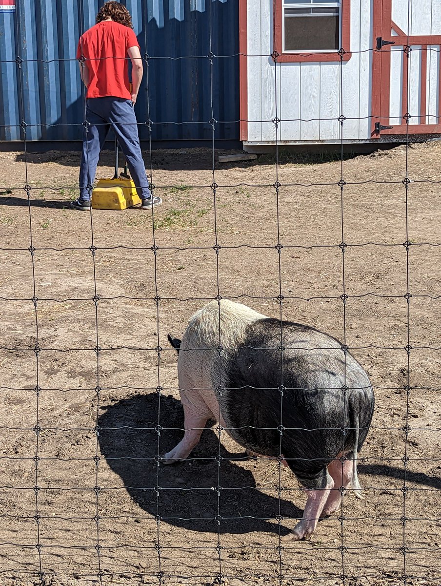 These DECA Patriots took time to give back to Scatter Joy Acres. Service minded. #TPW <a href="/MSHSactivities/">Millard South Activities</a>