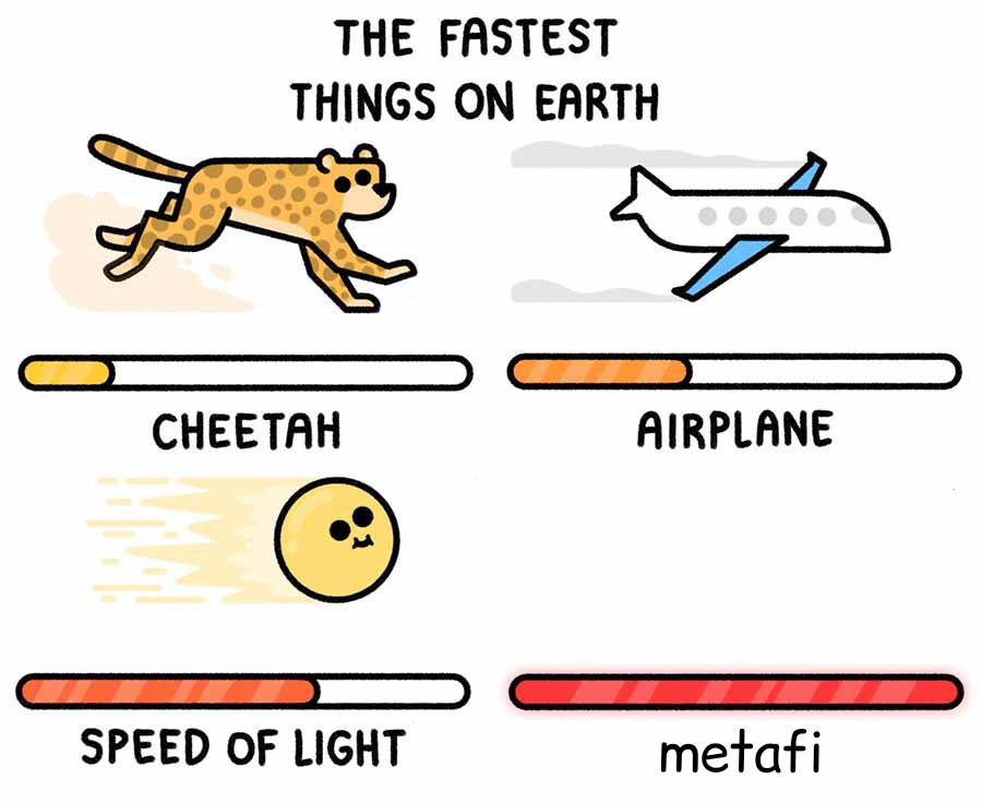 AchuBasil21's tweet photo. Metafi is moving very fast to the moon
#Metaverse 
#MetaFiorg
#CryptocurrencyNews https://t.co/PqJbkZCu8x