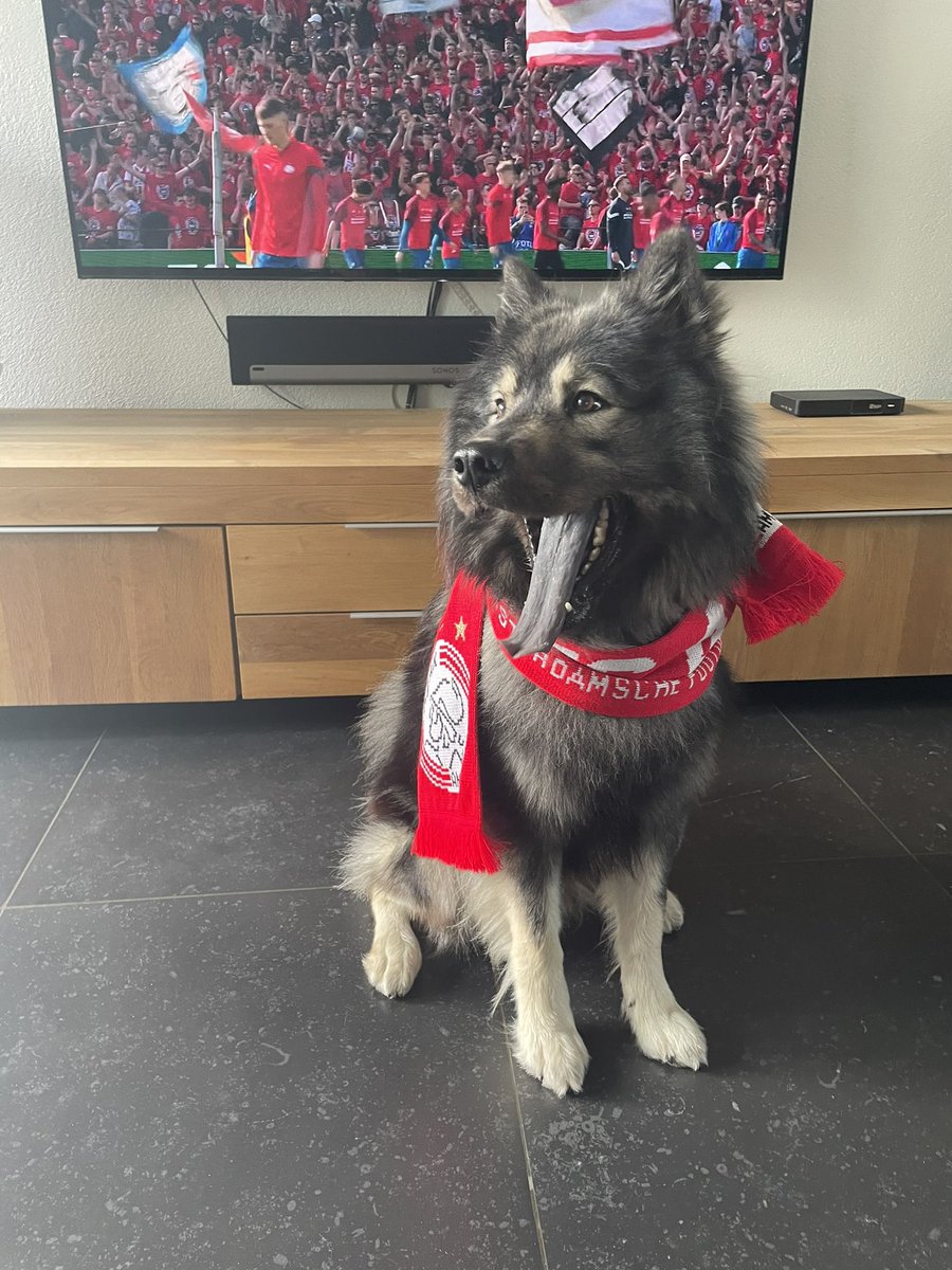 Nu lekker doorzetten! C’mon <a href="/AFCAjax/">AFC Ajax</a> ❌❌❌ #ajapsv #cupfinale #bekerfinale