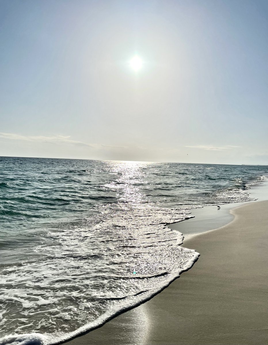 SashaEats's tweet photo. Happy #SundaySunsets, friends ๐
I may be biased but the best sunsets are in @VISITFLORIDA ๐ #SashaInPCB #LoveFL #Florida https://t.co/Pp3WkOeEGq
