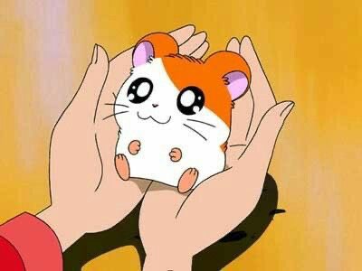 SoftnessDaily's tweet photo. hamtaro appreciation post 🎀 https://t.co/jkZRXwrsTK