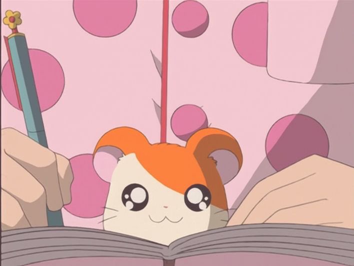 SoftnessDaily's tweet photo. hamtaro appreciation post 🎀 https://t.co/jkZRXwrsTK