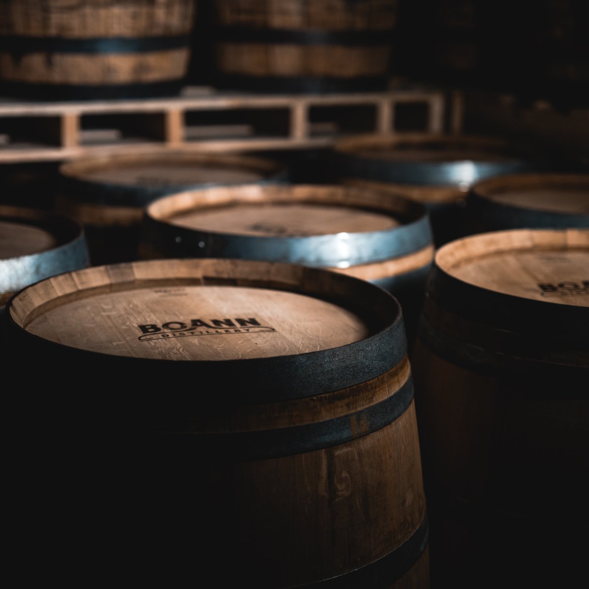 Boanndistillery's tweet photo. Be a part of the next chapter in the story of Irish Whiskey 🥃
Learn about our cask offer at the link below
https://t.co/5BYwVn2jzU
#whiskey #irishwhiskey #casks #irishwhiskeycasks #caskprogramme #singlepotstill #potstillwhiskey #boanndistillery #caskoffer https://t.co/7z8ahVm5Du