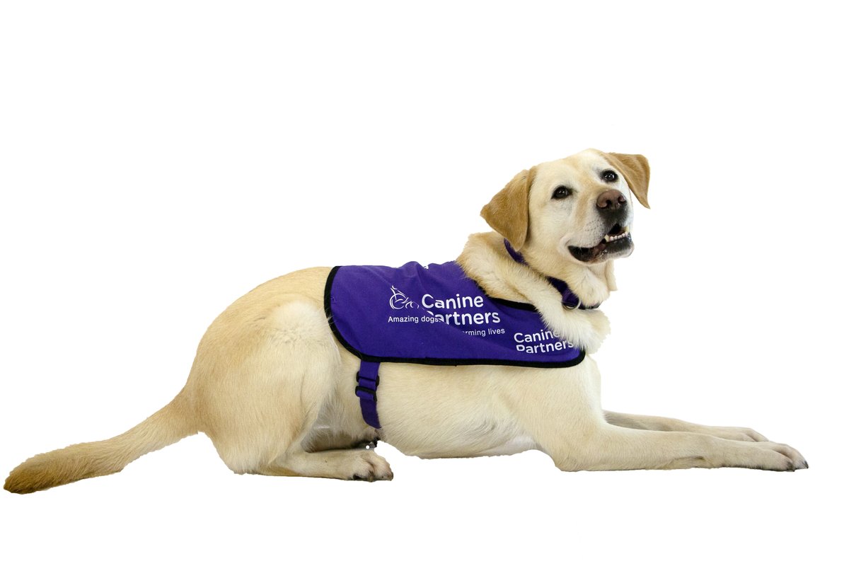 Canine Partners tweet media