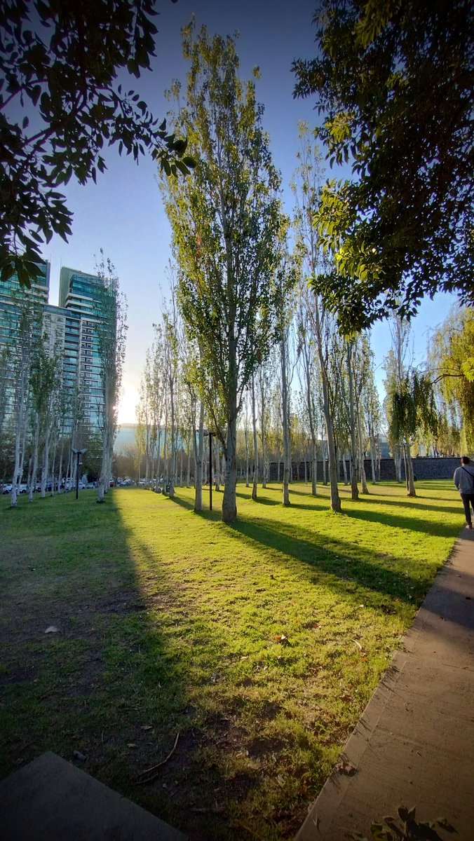catamaw's tweet photo. Atardecer  #PuertoMadero  #CABA 🌳🏙️🇦🇷 Plaza #HectorOesterheld 
@Imagen_Arg https://t.co/3CJfYeseHt