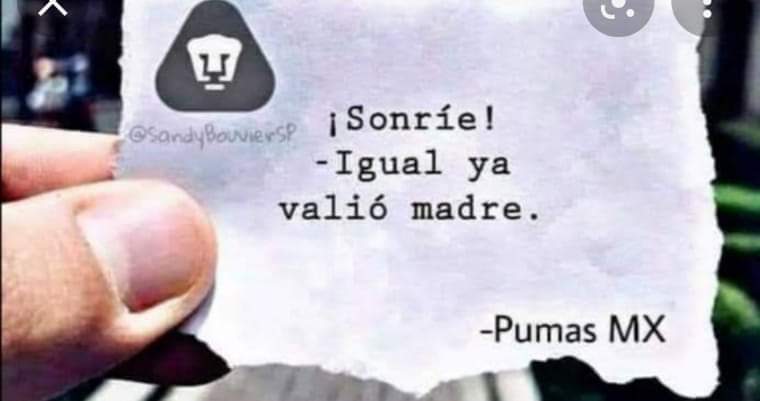 PumasELP's tweet photo. #FelizDomingo 😸 https://t.co/4qMPKGZ6dF