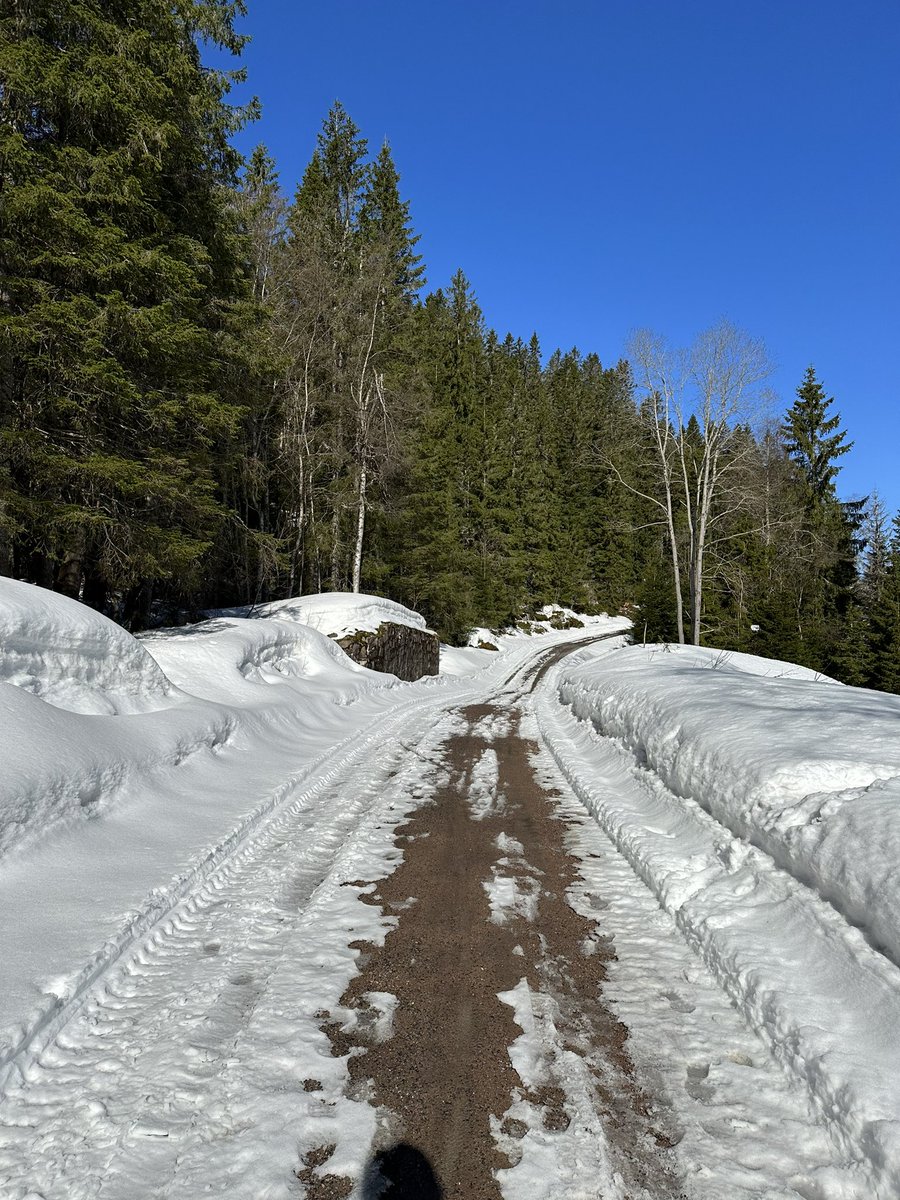 Skjennungstua tweet media