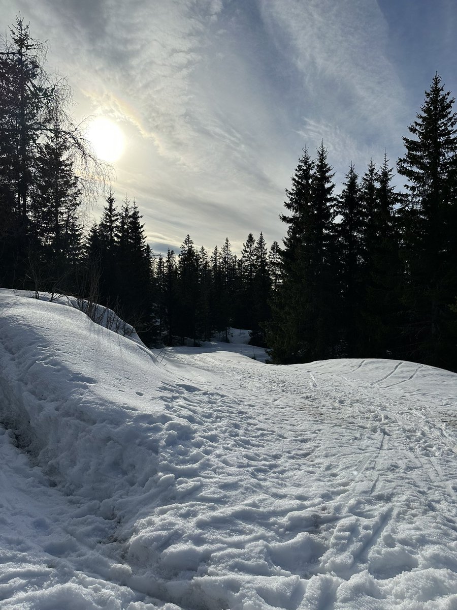 Skjennungstua tweet media