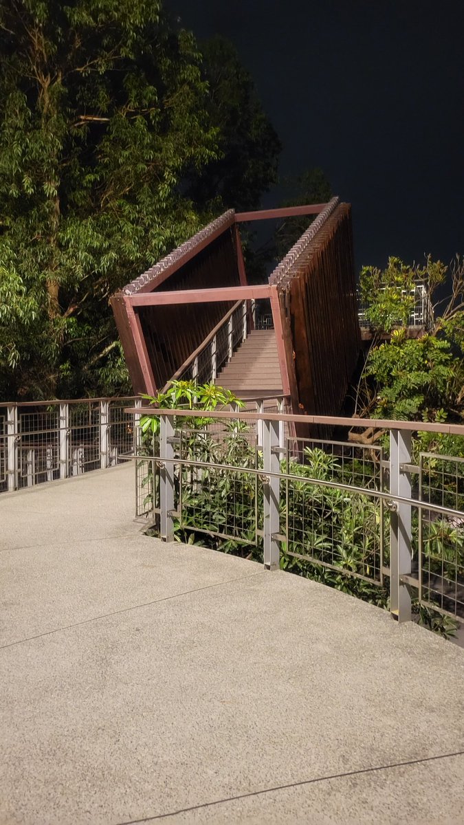 被訓練家寶貝球砸的好痛，又被好幾隻爆肌蚊攻擊，趕緊落跑（不知道這時間是要丟黑暗球或直接大師球嗎）