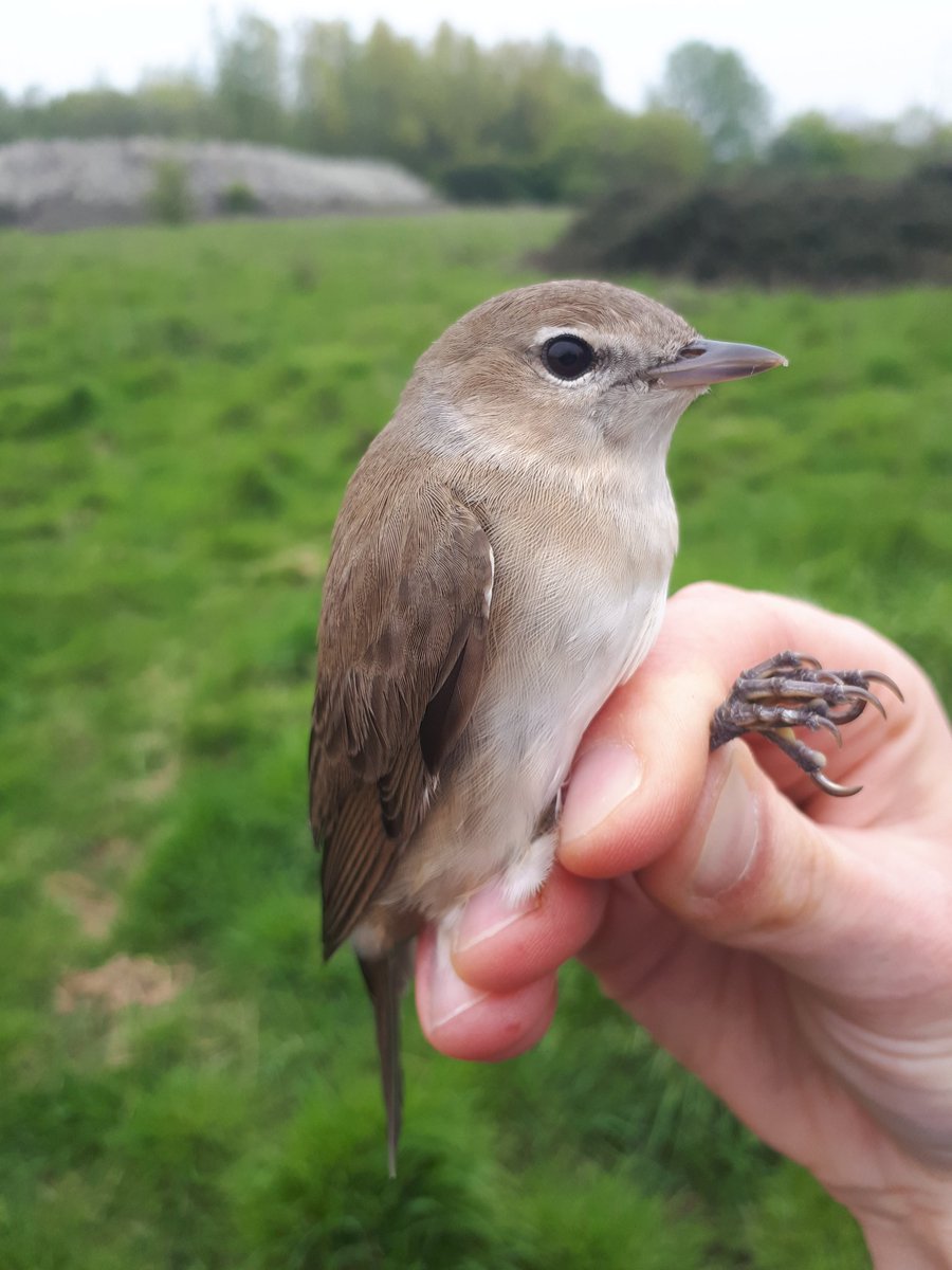 Dr Jenny Coomes tweet media