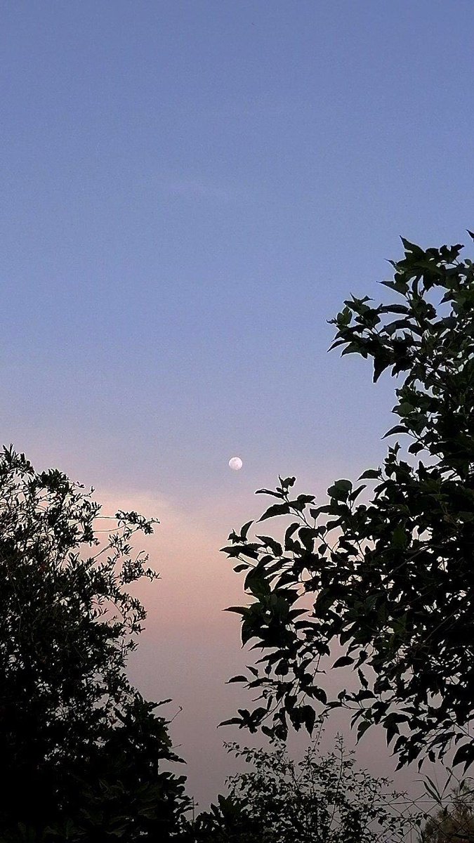 vst_5's tweet photo. ٣٠ نـيسـان ٢٠٢٣ https://t.co/kgDHrGsnuB