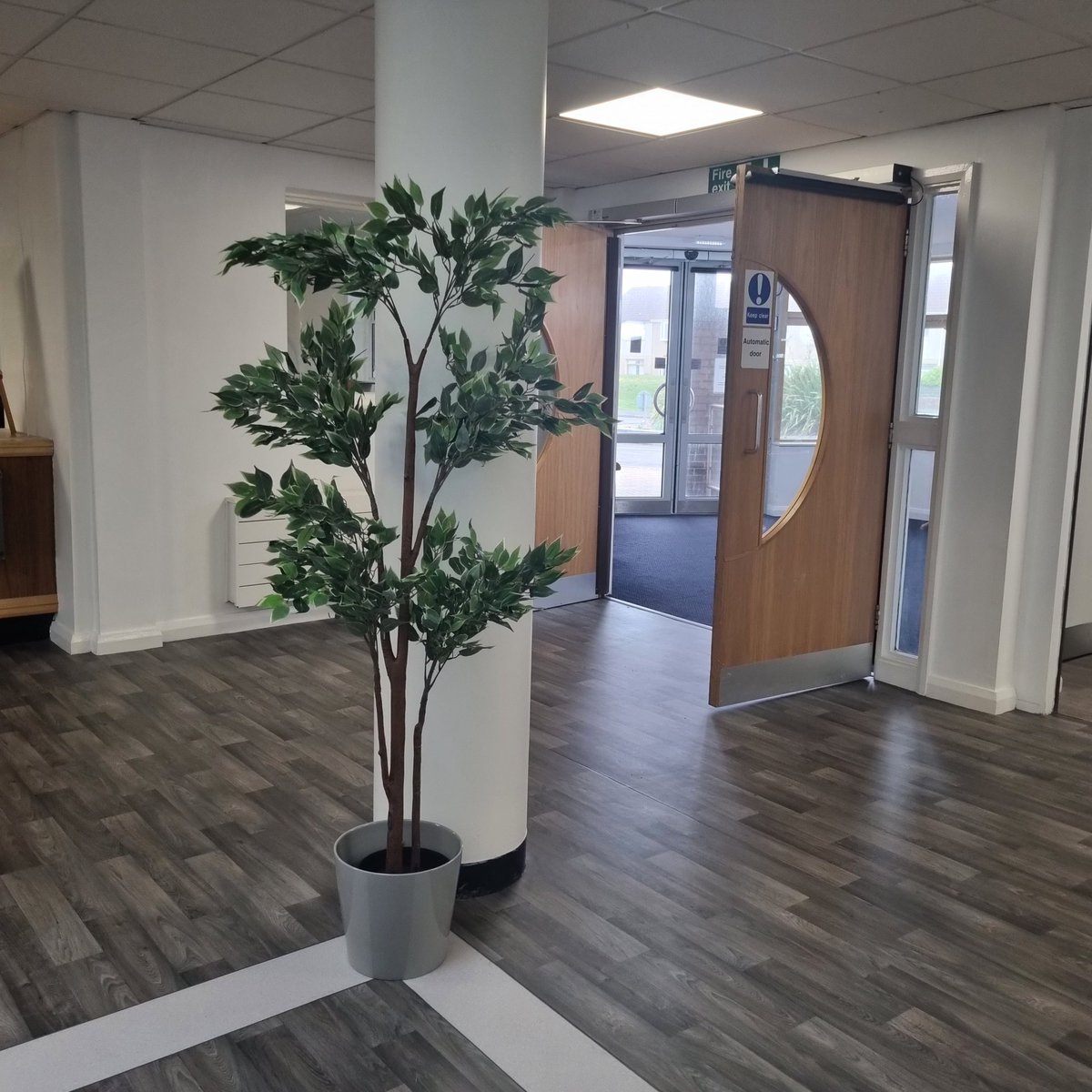 YsbrydM's tweet photo. Getting there-floor laid, walls painted,servery &amp; kitchen updated. Crockery, plants &amp;  picture frames delivered.
Next week sees new surfaces on/around reception &amp; servery and  blinds. Couple more weeks wait for new signs and NEW FURNITURE! 
#extracare #morethanhousing  #community https://t.co/dYzAfhbmlI