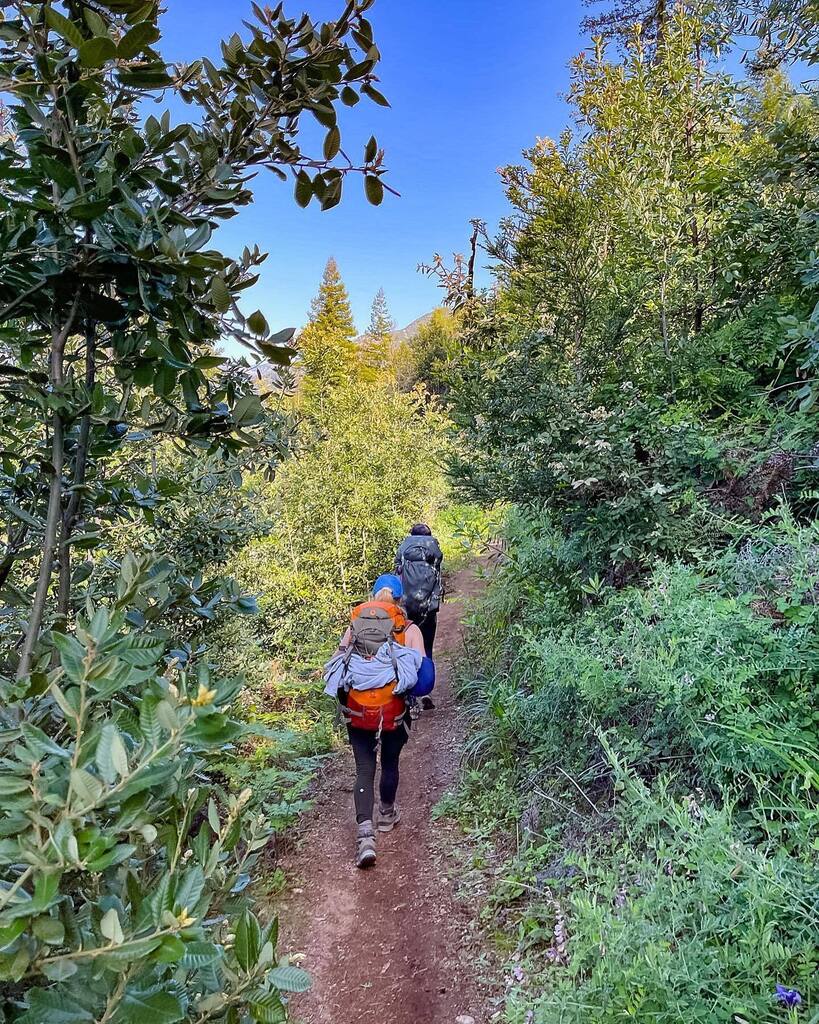 coco_kendall's tweet photo. A year ago today I went on my first backpacking trip with my best friend and her boyfriend in Big Sur. It was such a beautiful hike, very challenging but really great practice as we were planning to do a big hike later that year! Sadly that backpacking t… https://t.co/ClgHDpy40b https://t.co/Z4L7gipUui