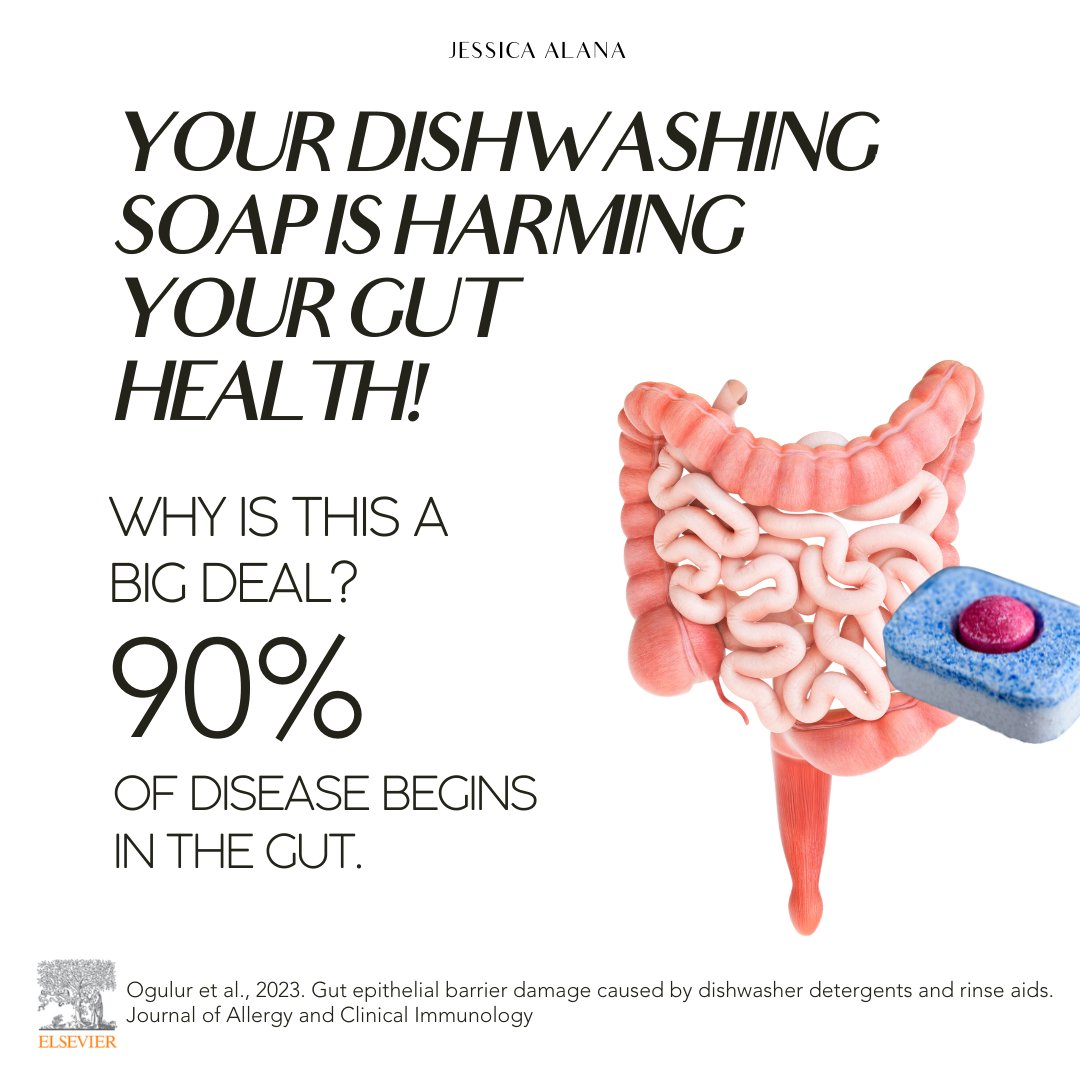 Jessica Biomedicine (BSc) on Twitter "Hello Leaky Gut, nice to meet