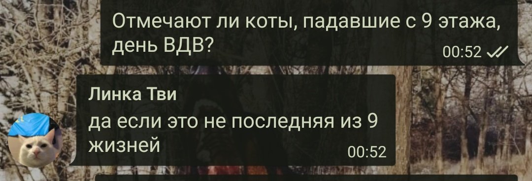 12. Кот в сапогах оценил