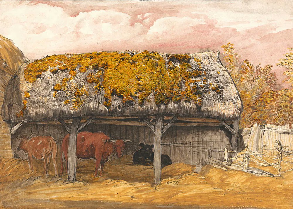 ‘A Cow Lodge with a Mossy Roof’, Samuel Palmer, watercolour, gouache & black ink, 1829. Part of the 30% DISCOUNT sale on prints, all weekend.
rathergoodart.co.uk/product/samuel…
#samuelpalmer