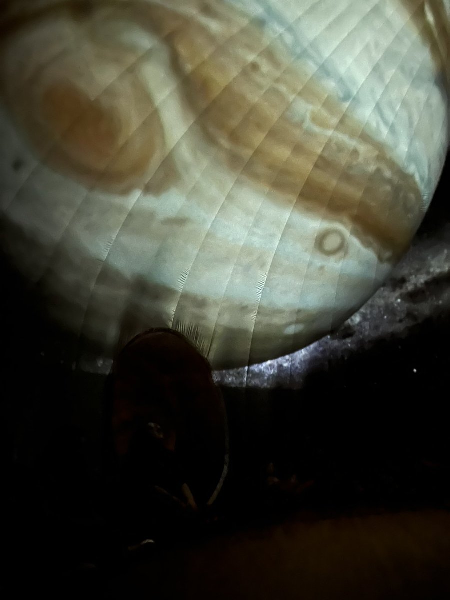 On Friday, we had the planetarium come to school. Very cool experience and super engaging! <a href="/AmandaEleTweets/">Amanda Elementary</a> <a href="/MiddletownOH/">Middletown City Schools</a>