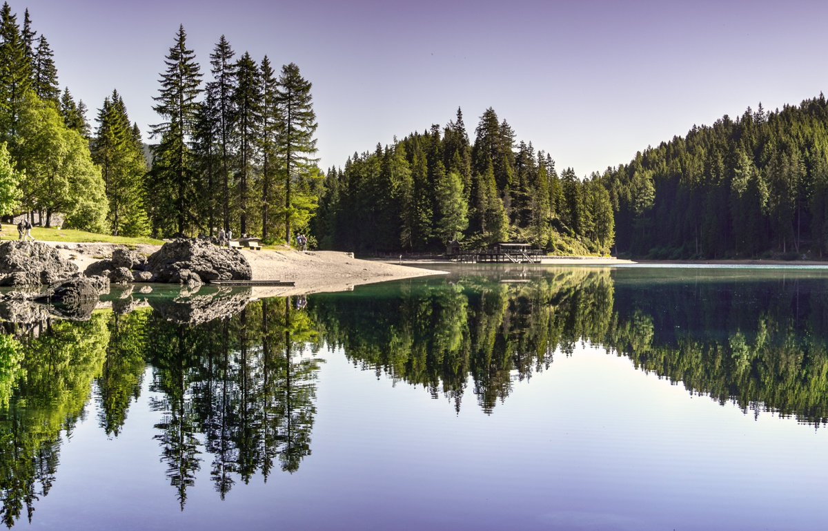 purenature_1's tweet photo. Perfect symmetrical reflection 💕
#purenature #mirrorwater #forest #reflection https://t.co/BESJRAQBLR