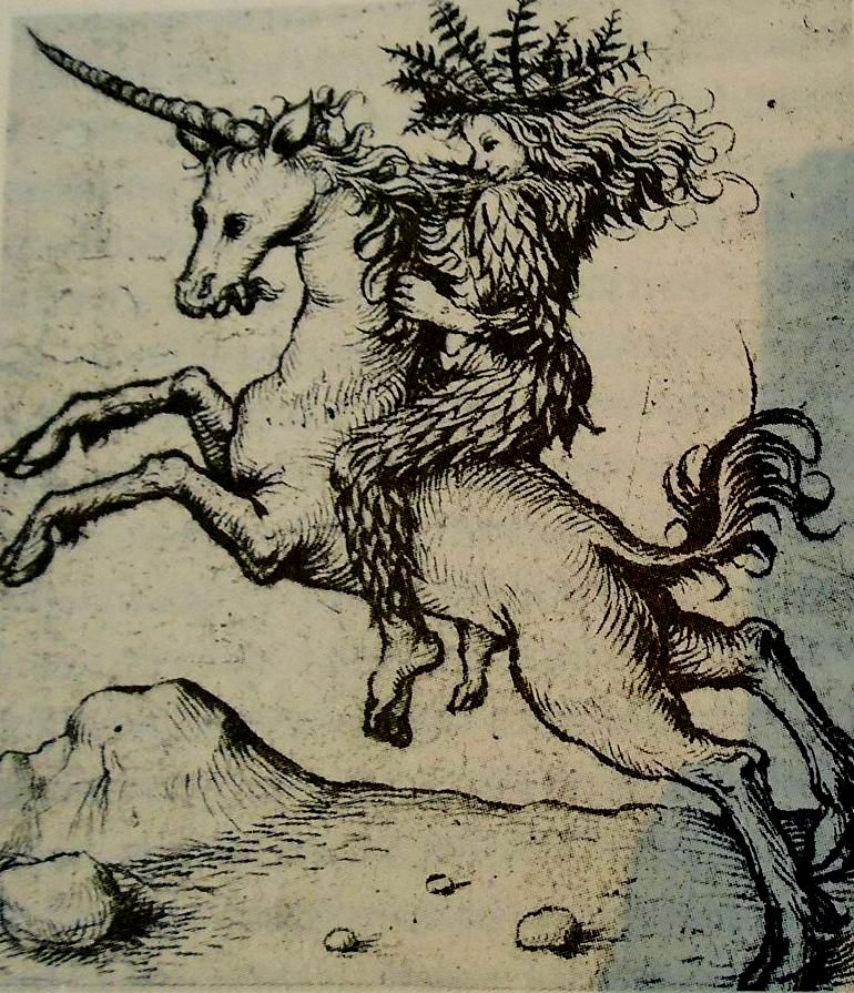 'Wild Woman riding a Unicorn' from am unknown German artist from 15th century known as the 'Master of the Amsterdam Cabinet', (1475)

#masteroftheamsterdamcabinet #medievalart #wildman #unicorn #15thcentury