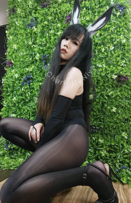 🐰 https://t.co/25BSF9F8g1