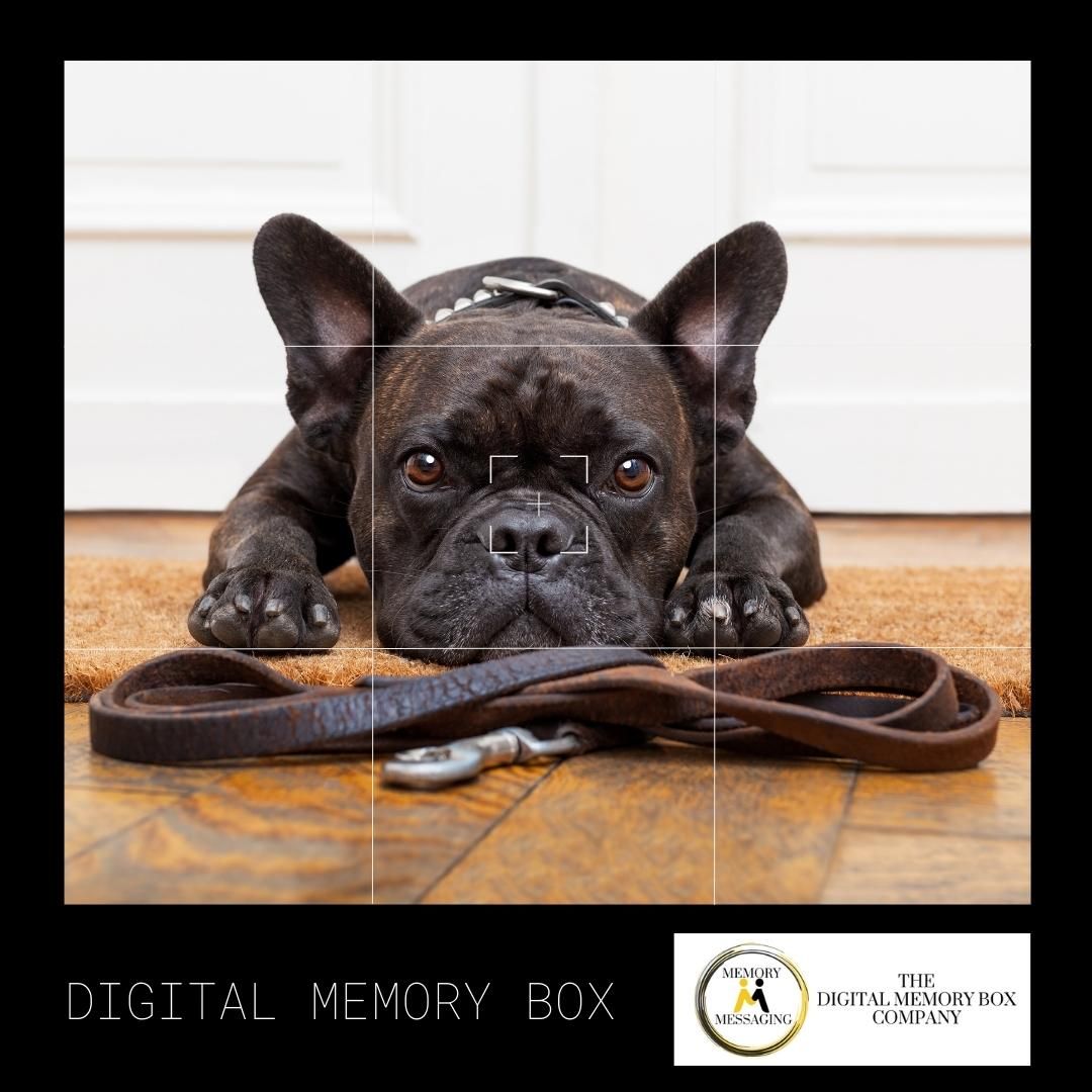 MemoryMessaging's tweet image. #HomeFuneral #HomeFunerals #HomeFuneralAlliance #CommunityDeathcare #ConsciousDying #Deathcare #DeathDoula #DeathDoulas #DeathIsNormal #DeathLiteracy #DeathMatters #DeathPositive #DeathPositivity #DeathWorker #Dying #EndOfLifeCare
