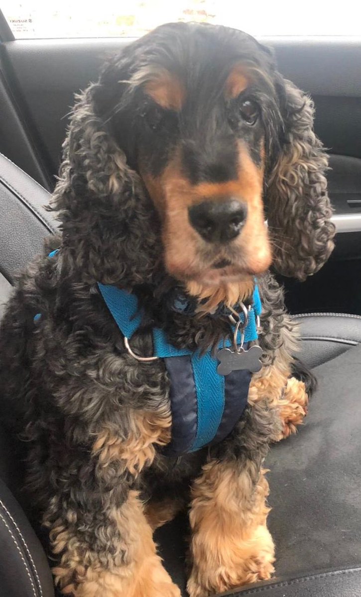 Judy Lawton tweet media