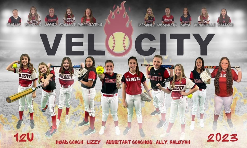 Velocity Performance Training tweet media