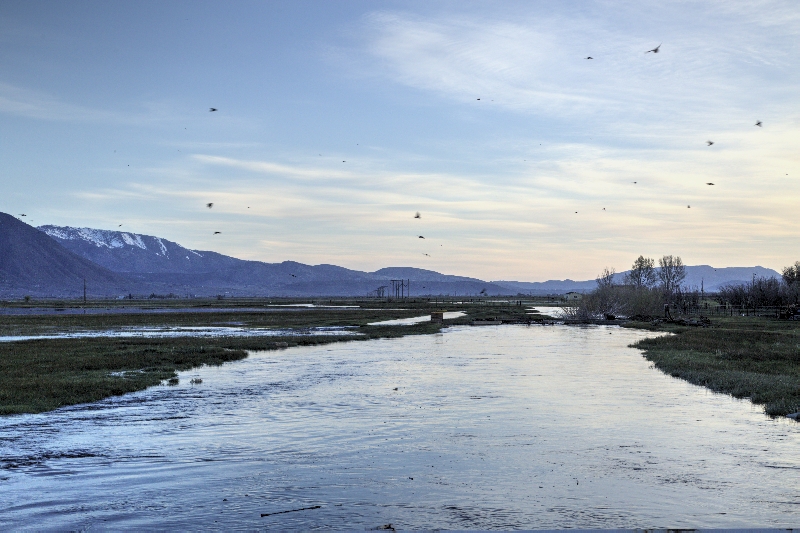 Jayfite's tweet photo. @CphilpottCraig @CraigWilcoxMHA Didn't get photos of the river,but will rectify that later. One of the many sloughs we have here. Side by side photos of Brockliss slough. One I took several years ago and one this a.m. . 3rd is one of several fields/pastures flooded,(not by local ranchers for growing). https://t.co/KYTBkYy0uR