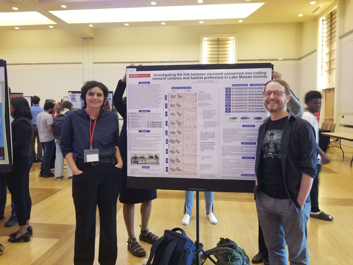 MaddyArena's tweet photo. First poster presentation on my semester-long project on lake malawi cichlid habitat preference and behavior as influenced by non coding elemental variance 

(Pictured: me on 1 hour of sleep and my wonderful mentor, Dr. Reade Roberts) https://t.co/12Rc92Futp