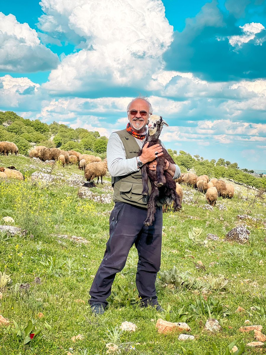 batabek57's tweet photo. Adıyaman merkeze bağlı Zey (İndere) Köyü'nden dönerken oğlak sevdik. https://t.co/LK5W3mgVKe
