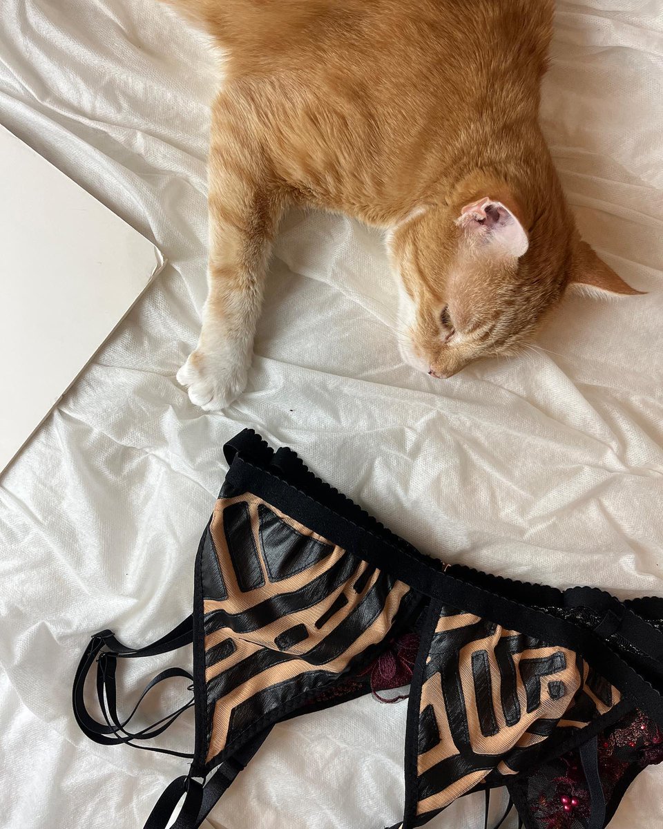 Happy, happy Sunday, you glorious mess 🐈 ft. Pumpkin
Xx TITOV 

costarastrology