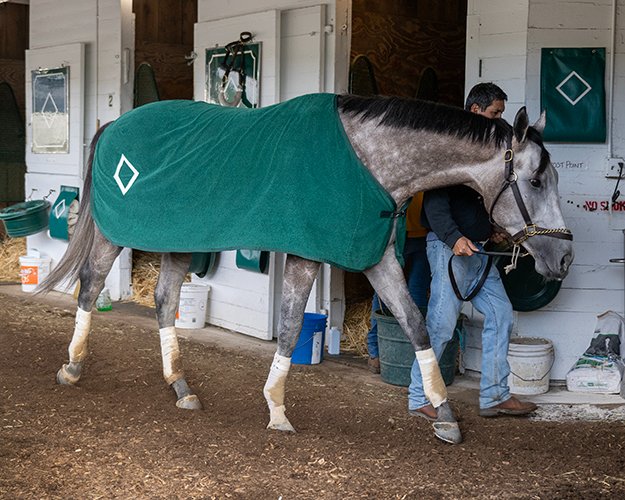 BH_AEberhardt's tweet photo. #RocketCan put in his final work of 5f in :59.80 for Bill Mott and Frank Fletcher at @ChurchillDowns in preparation for the @KentuckyDerby. Bred by @WoodfordTB, the son of leading sire #IntoMischief at @spendthriftfarm will be ridden by @JuniorandKellyA. #RocketMan https://t.co/CW3hOOaIST