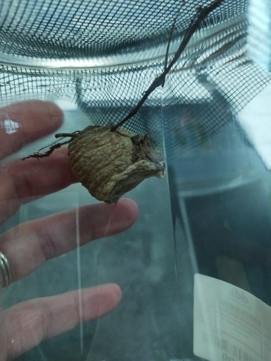 Mrs.EArnold tweet media