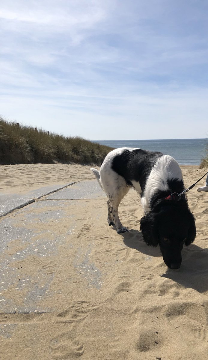 MirandaDillema's tweet photo. @Weerprimeur Kust opklaring ? Twas prachtig hoor https://t.co/KMSwz5KoN4