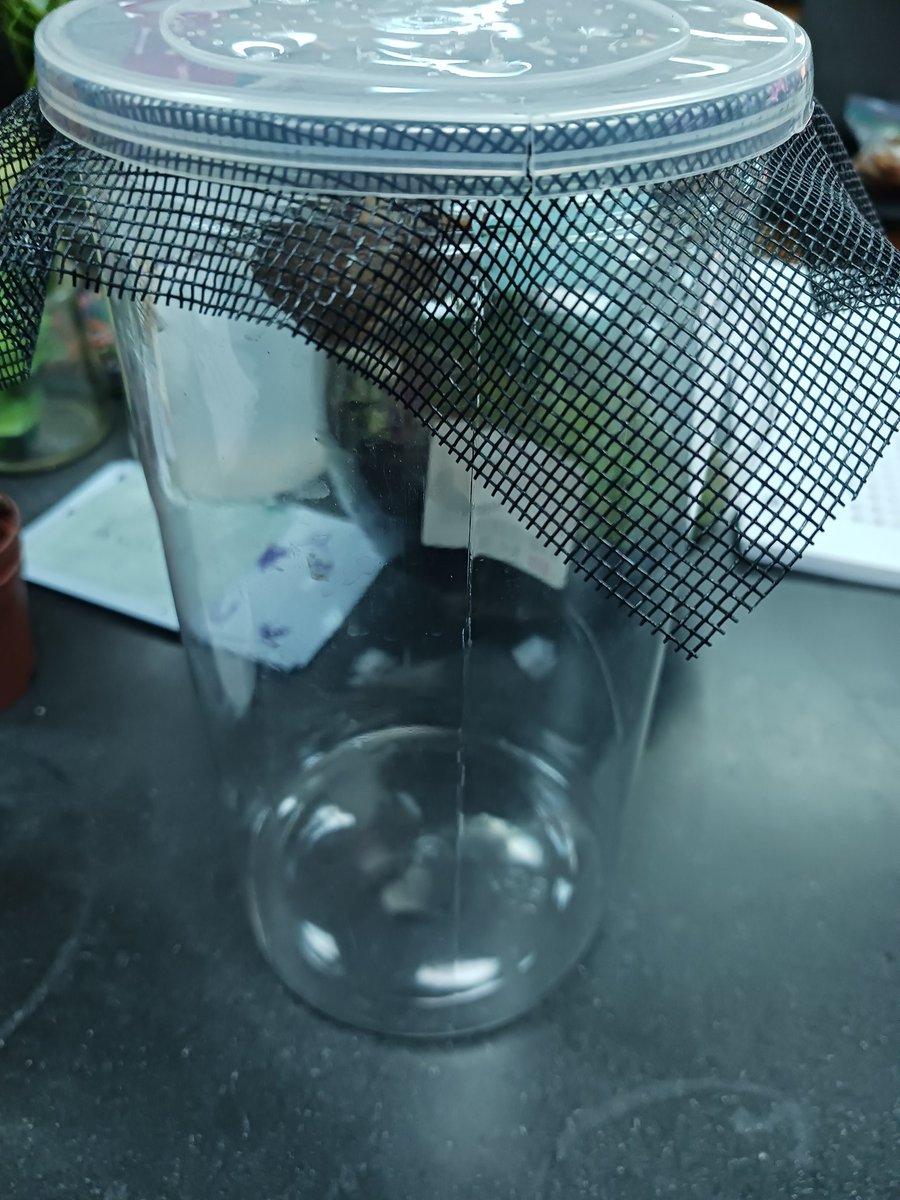 Mrs.EArnold tweet media