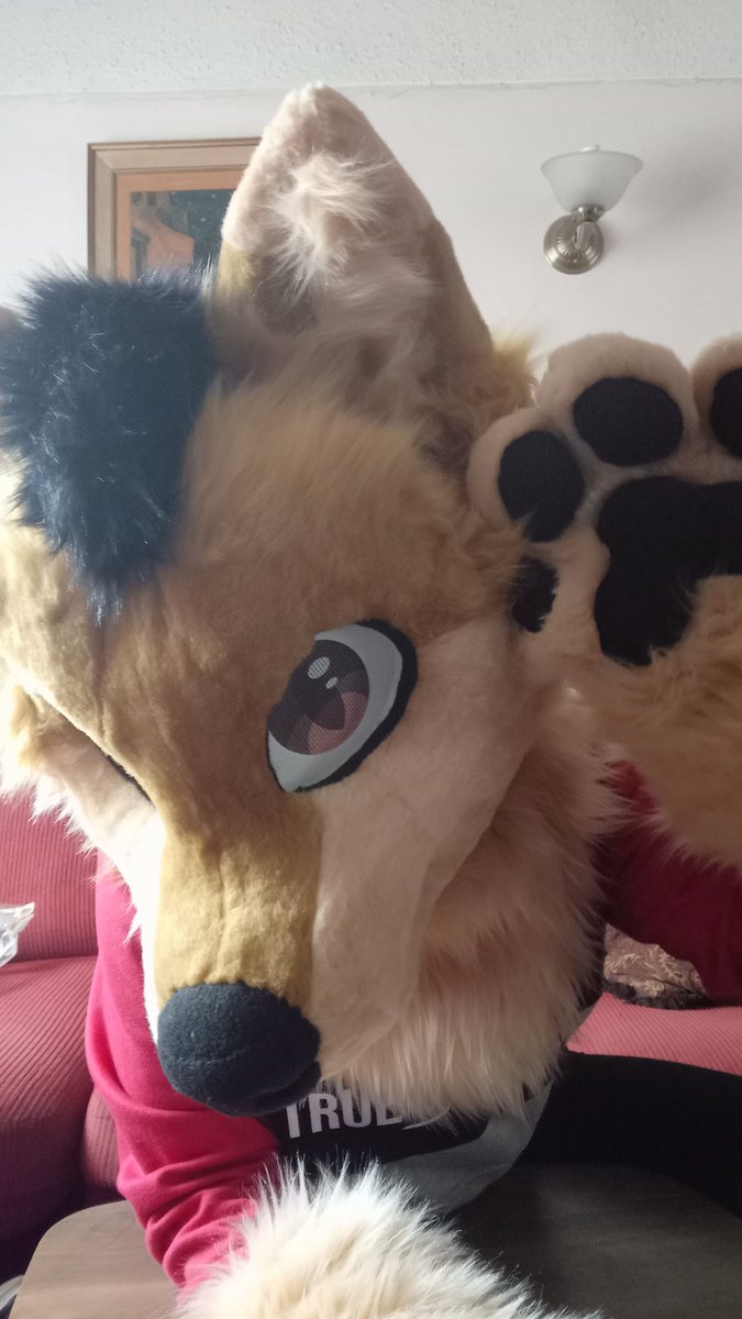 Djthewolfe tweet picture