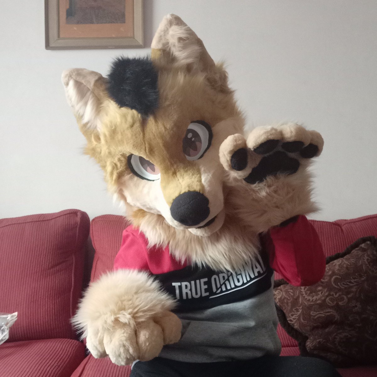 Djthewolfe tweet picture