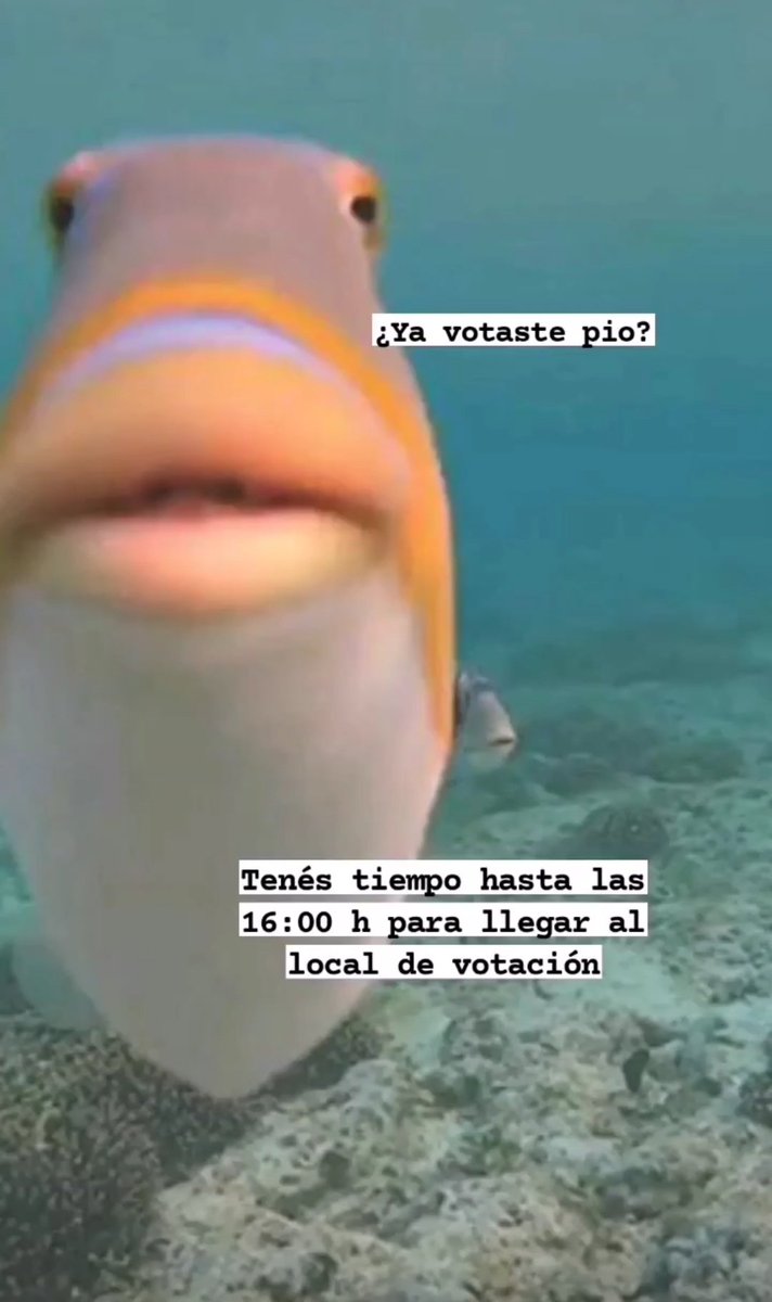 JOSEESCAURIZA's tweet photo. ¿Ya votaste? https://t.co/yEaUKuiWHi
