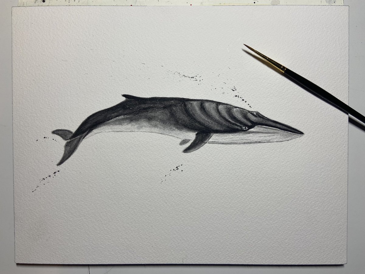 It’s rained all weekend, so I stayed inside and painted a jerk fin whale and dick head toucan.